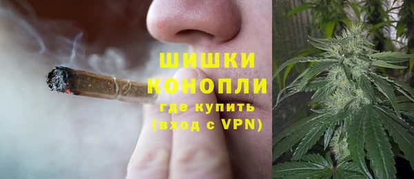 индика Абаза