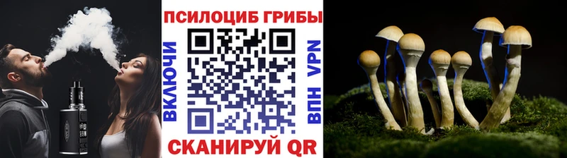 маркетплейс состав  даркнет сайт  Новопавловск  Галлюциногенные грибы ЛСД 
